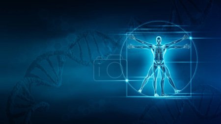 Menschlicher männlicher Körper und Skelett 3D-Darstellung mit Kopierraum und blauem DNA-Hintergrund. Anatomie, Skelett- oder Knochensystem, Medizin und Gesundheitswesen, Biologie, Medizin, Wissenschaft, genetische Konzepte.
