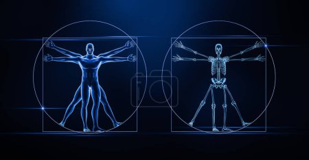 Vue antérieure ou frontale du corps masculin humain et illustration de rendu 3D par rayons X squelette sur fond bleu. Médecine, anatomie du système squelettique, biologie, ostéologie, science, concepts.