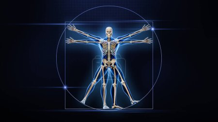 Foto de Vista frontal del cuerpo humano masculino y huesos Ilustración de representación 3D sobre fondo azul. Anatomía esquelética, medicina, sistema esquelético, biología, ciencia, medicina, osteología, conceptos biomecánicos. - Imagen libre de derechos