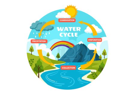 Wasserkreislauf-Vektorillustration mit Verdunstung, Kondensation, Niederschlag zur Sammlung in der natürlichen Umgebung der Erde im flachen Cartoon-Hintergrund