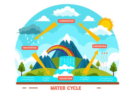 Wasserkreislauf-Vektorillustration mit Verdunstung, Kondensation, Niederschlag zur Sammlung in der natürlichen Umgebung der Erde im flachen Cartoon-Hintergrund