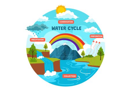 Water Cycle Vector Illustration with Evaporation, Condensation, Precipitation to Collection in Earth natural environment in Flat Cartoon Background