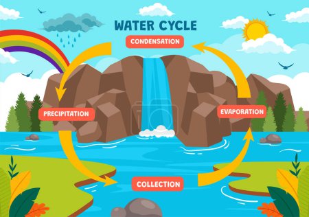 Ilustración de Ilustración vectorial del ciclo del agua con evaporación, condensación, precipitación a la colección en ambiente natural de la tierra en fondo plano de la historieta - Imagen libre de derechos