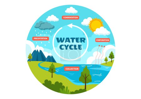 Illustration vectorielle du cycle de l'eau avec évaporation, condensation, précipitations pour la collecte dans l'environnement naturel de la Terre en dessin animé plat