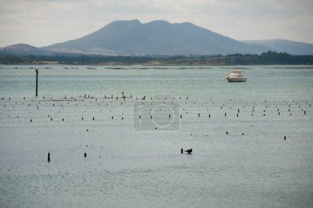 Trampas para ostras - Bahía de Coffin - Australia