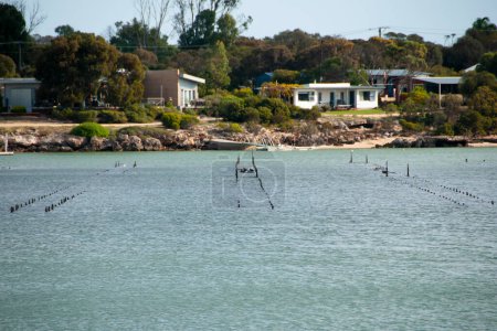 Foto de Trampas para ostras - Bahía de Coffin - Australia - Imagen libre de derechos