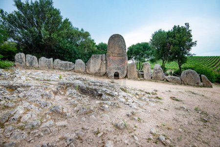 Giants Grave of Coddu Vecchiu - Sardinia - Italy