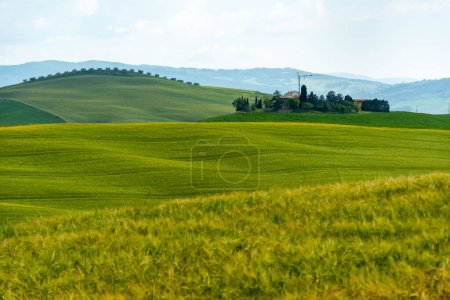 Rolling Hills de Toscana - Italia