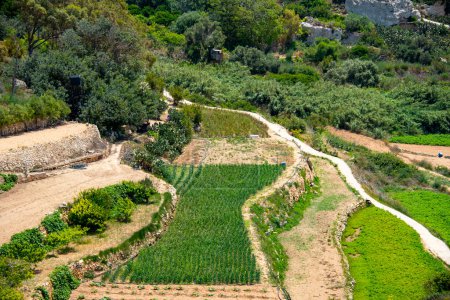Téléchargez les photos : Champs agricoles à Dingli - Malte - en image libre de droit