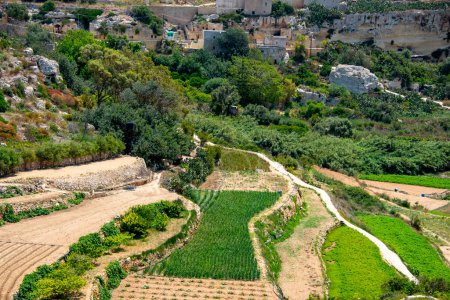 Téléchargez les photos : Champs agricoles à Dingli - Malte - en image libre de droit