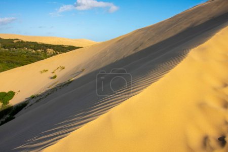 Dunes de sable géantes au Cap Reinga - Nouvelle-Zélande