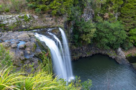 Foto de Whangarei Falls - Nueva Zelanda - Imagen libre de derechos
