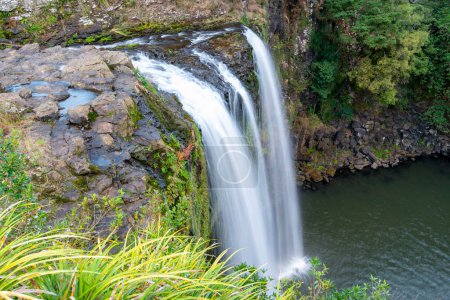 Foto de Whangarei Falls - Nueva Zelanda - Imagen libre de derechos