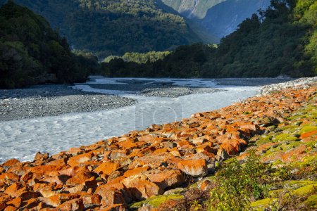 Río Waiho - Nueva Zelanda