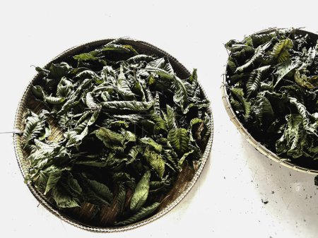 Dried Mitragyna speciosa or Kratom Leaf,ingredient of herbal tea.food and drug product