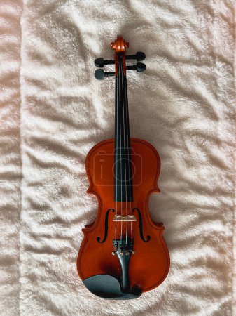 Violin put on soft cotton background,made from wood,show detail of acoustic instrument.