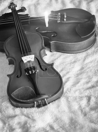 Pequeño violín puesto delante de difuminado más grande, en tela de algodón suave, mostrar detalle de instrumento acústico. Tono blanco y negro, efecto de destello de lente