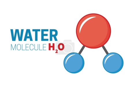 Ilustración de Ilustración de la estructura química de la molécula de agua H2O - Imagen libre de derechos