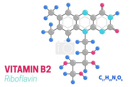 Riboflavina Vitamina B2 Estructura de la molécula Ilustración