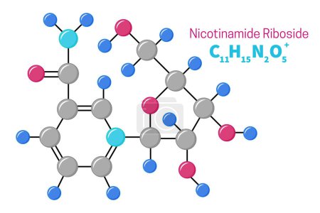 Ilustración de Nicotinamide Riboside or Vitamin B3 Molecule Structure Formula Illustration - Imagen libre de derechos