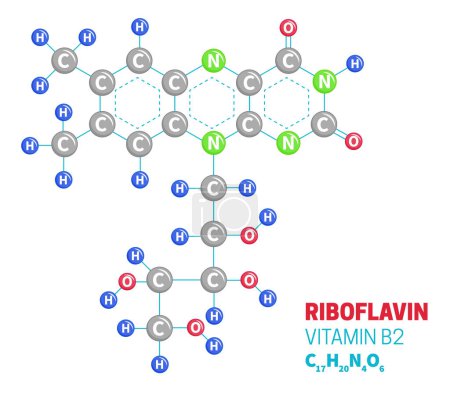Riboflavina Vitamina B2 Estructura Molécula Fórmula Ilustración