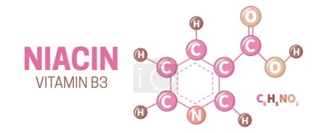 Ilustración de Vitamina B3 Estructura de la molécula de niacina Fórmula Ilustración - Imagen libre de derechos