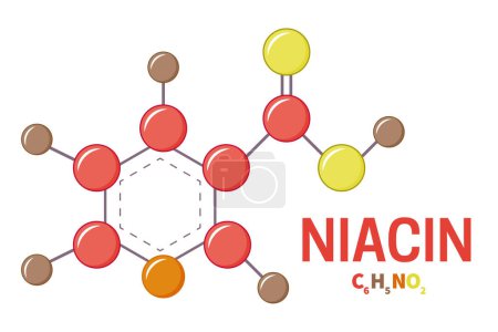 Téléchargez les illustrations : Illustration de structure de molécules de niacine ou de vitamine B3 - en licence libre de droit