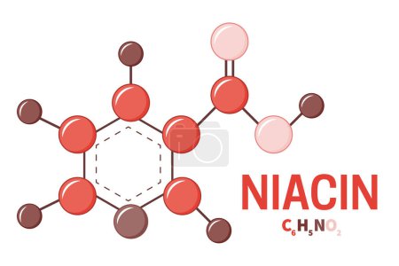 Illustration der Struktur von Niacin oder Vitamin B3