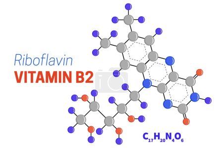 Ilustración de Estructura de la molécula de la riboflavina o de la vitamina B2 Ilustración de la fórmula - Imagen libre de derechos