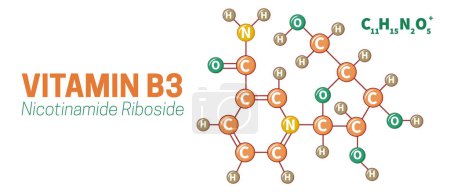 Ilustración de Vitamina B3 Nicotinamida Riboside Molecule Ilustración - Imagen libre de derechos