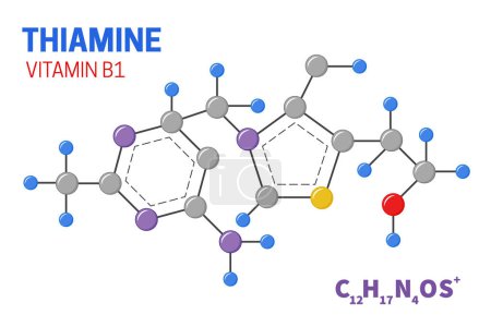 Tiamina Vitamina B1 Estructura molecular Ilustración