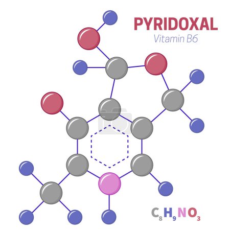 Illustration for Pyridoxal Vitamin B6 Molecule Illustration - Royalty Free Image