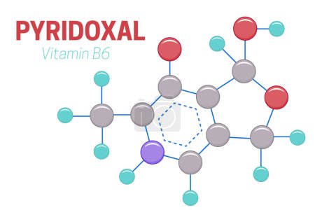 Illustration for Pyridoxal Vitamin B6 Molecule Structure Formula Illustration - Royalty Free Image