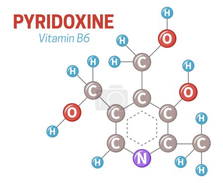 Pyridoxine Vitamin B6 Molecule Illustration