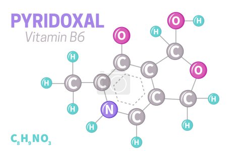 Illustration for Pyridoxal Vitamin B6 Molecule Formula Illustration - Royalty Free Image