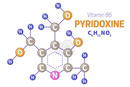 Ilustración de Piridoxina Vitamina B6 Molécula Fórmula Ilustración - Imagen libre de derechos