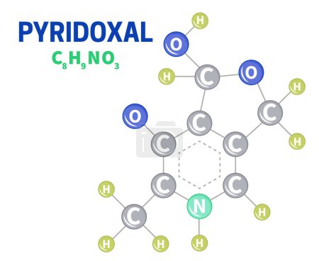 Ilustración de Ilustración de la molécula de la vitamina B6 de Pyridoxal - Imagen libre de derechos