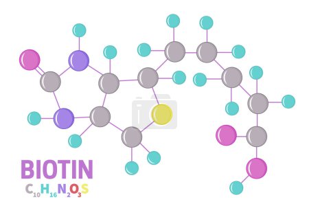 Ilustración de Biotina Vitamina B7 Molécula Ilustración - Imagen libre de derechos