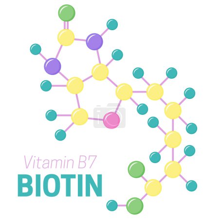 Ilustración de Biotina Vitamina B7 Molécula - Imagen libre de derechos