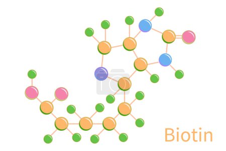 Ilustración de Biotina Vitamina B7 Moléculas Estructura Fórmula Ilustración - Imagen libre de derechos
