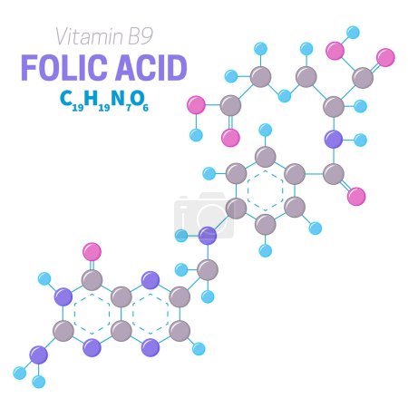 Ilustración de Estructura de la molécula de vitamina B9 del ácido fólico Ilustración - Imagen libre de derechos