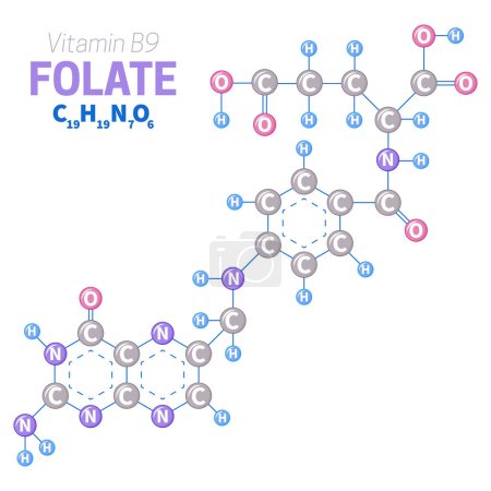 Ilustración de Ilustración de la estructura de la molécula de folato o vitamina B9 - Imagen libre de derechos