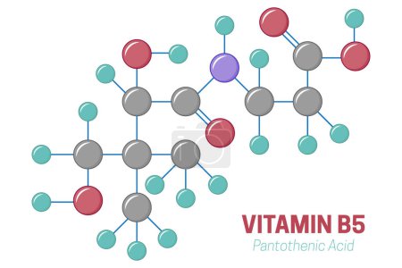 Illustration de structure de molécule de vitamine B5 d'acide pantothénique