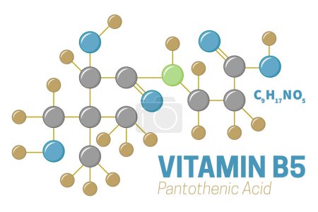 Illustration de molécules d'acide pantothénique de vitamine B5