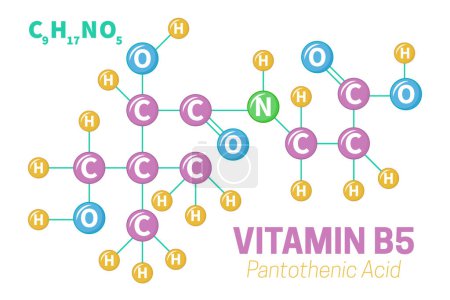 Pantothenic Acid Vitamin B5 Molecule Structure Formula Illustration