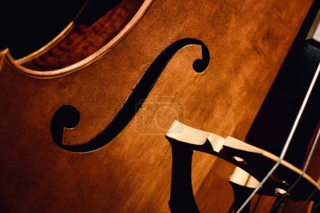 Téléchargez les photos : Gros plan sur f-hole et pont d'un instrument de musique pour violoncelle - en image libre de droit