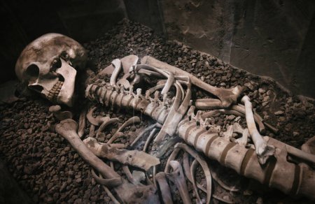 Foto de An old human skeleton lying in a stone coffin or sarcophagus - Imagen libre de derechos