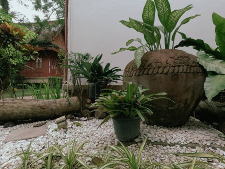Thai garden with natural surroundings traditional thai house