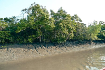 Bewaldete Süßwasserfeuchtgebiete in Bangladesch