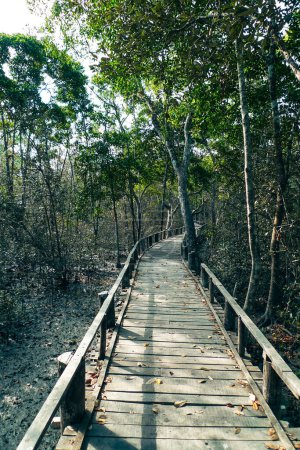 Karamjal Parc écologique Sundarban Forêt de mangroves Bangladesh